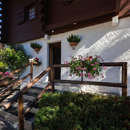 Amethystes E1 In Out - Happy