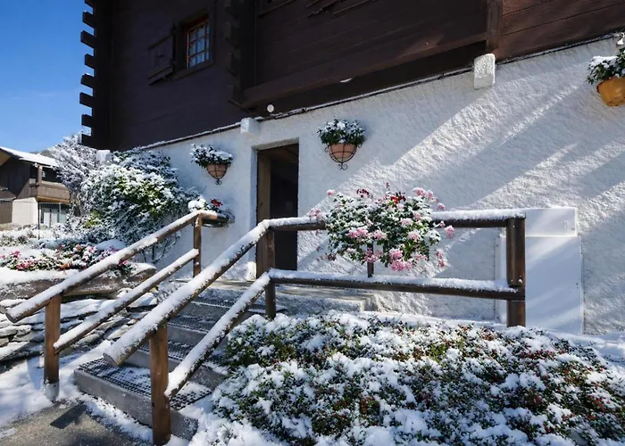 Amethystes E1 In Out - Happy Apartman Chamonix