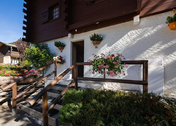 Amethystes E1 In Out - Happy